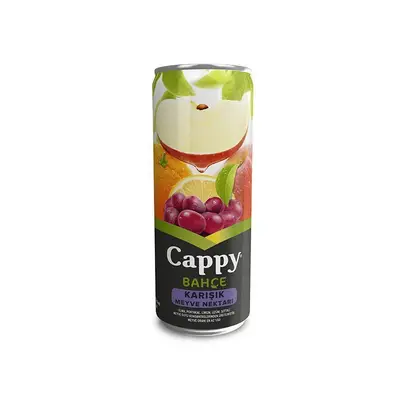 Cappy Meyve Suyu (33 cl.)